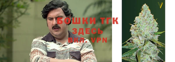 сатива Аркадак