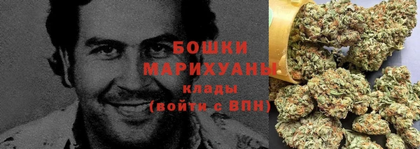 сатива Аркадак
