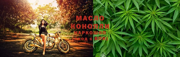 сатива Аркадак