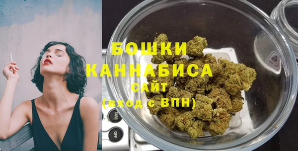 ГАЛЛЮЦИНОГЕННЫЕ ГРИБЫ Баксан