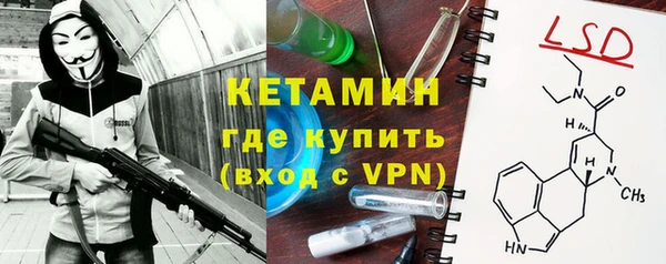 сатива Аркадак