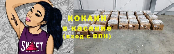 сатива Аркадак