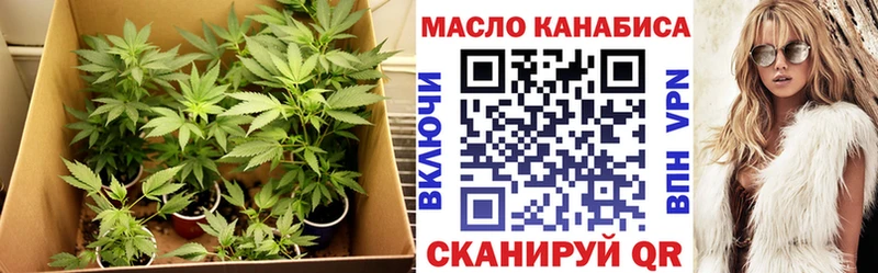 ТГК THC oil  купить наркотик  Балей 