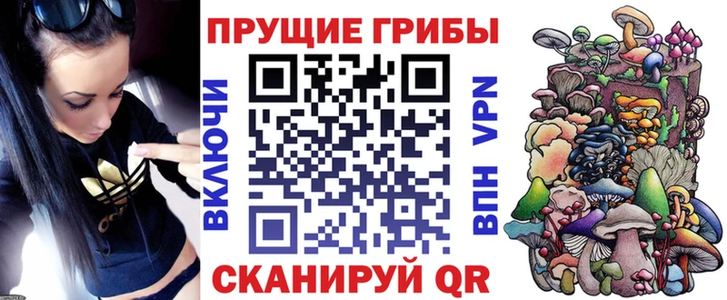 Псилоцибиновые грибы Cubensis  Балей 